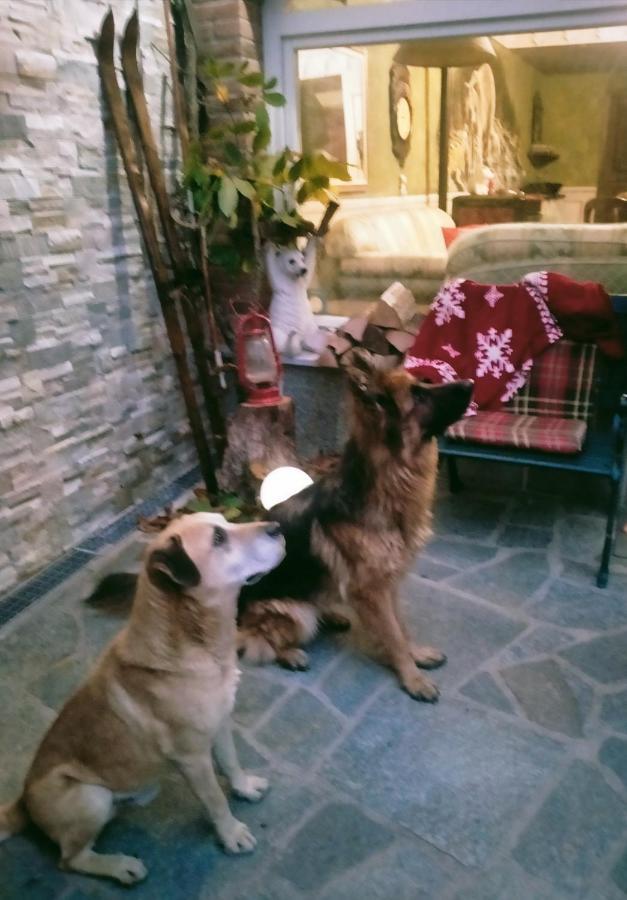 B&B Casa Dell'Orso Lurisia Dış mekan fotoğraf