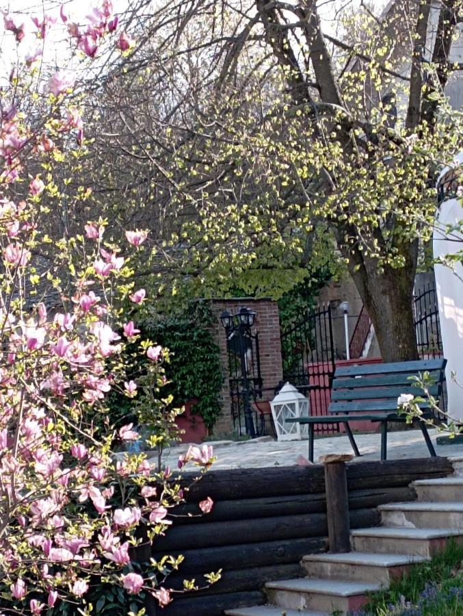 B&B Casa Dell'Orso Lurisia Dış mekan fotoğraf