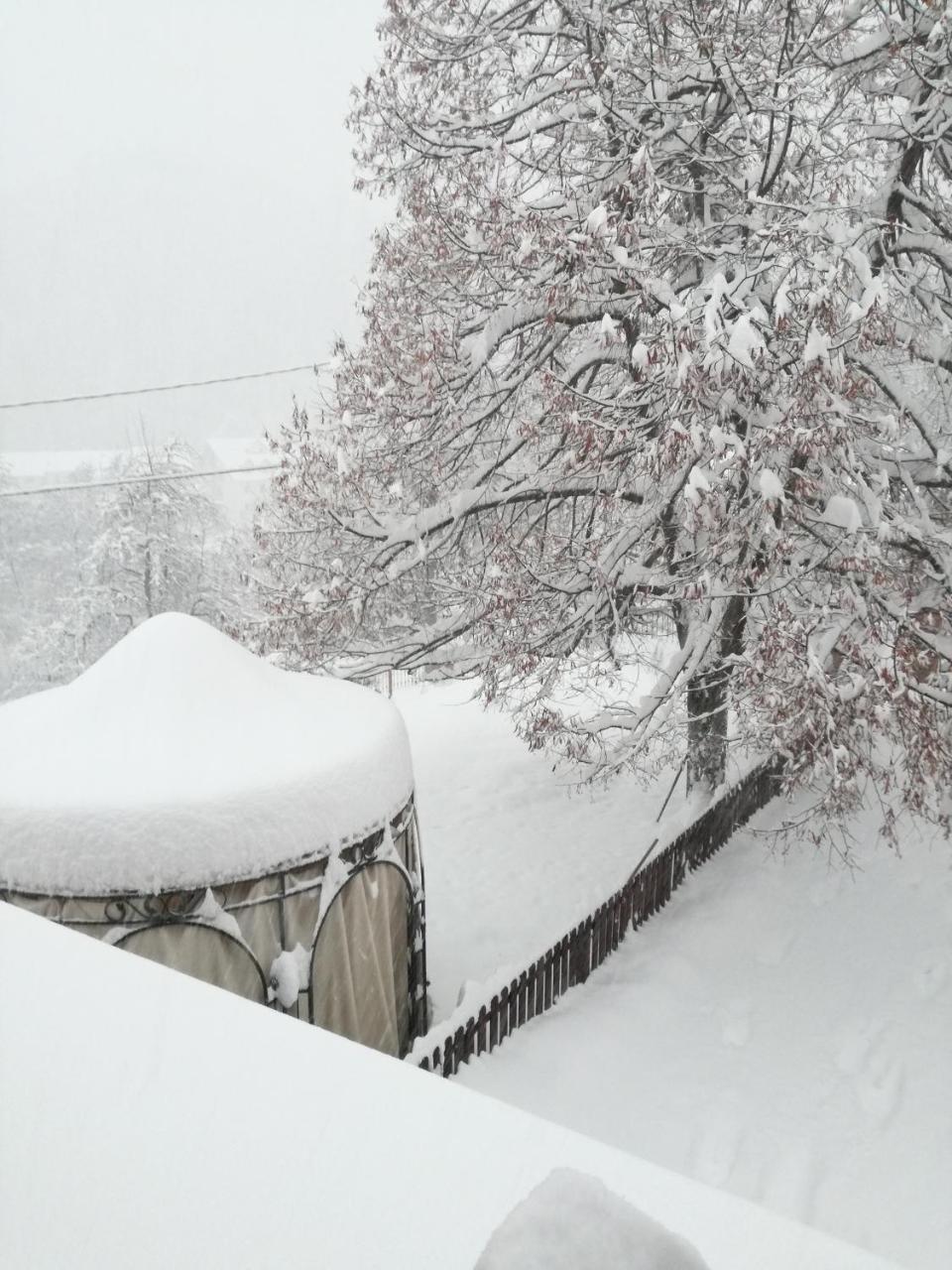 B&B Casa Dell'Orso Lurisia Dış mekan fotoğraf